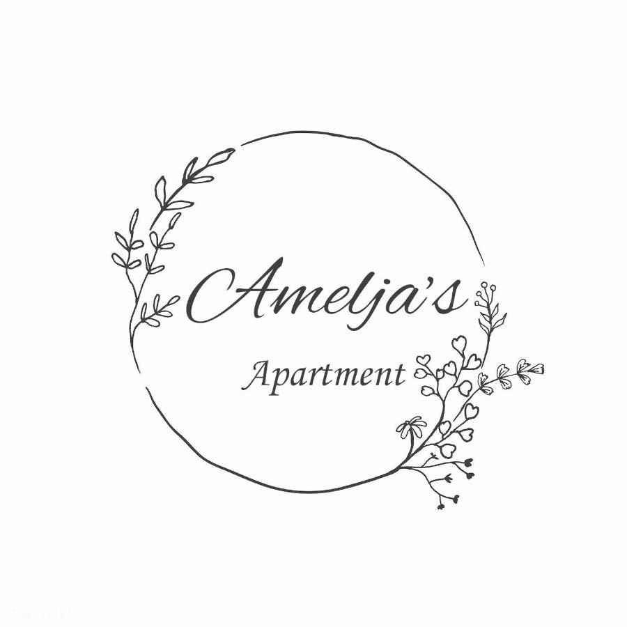 Amelja'S Apartment Shkodër 外观 照片